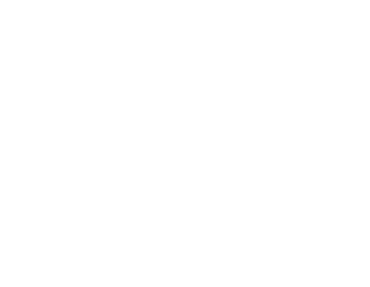 TikTok Shop Formula