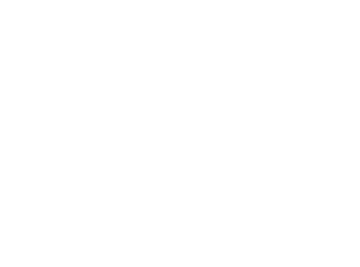 TikTok Shop Formula